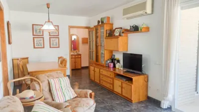 Apartment in Can Toni photo 6