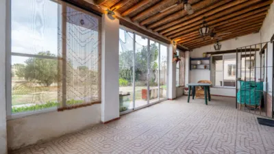 Rustic finca on Km road photo 27