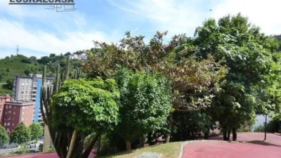 Apartment in Masustegui photo 36