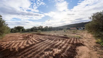 Rustic finca on Km road photo 38