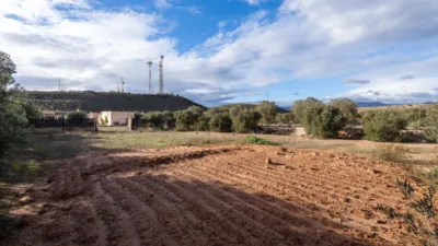 Rustic finca on Km road photo 42