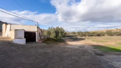 Rustic finca on Km road photo 34