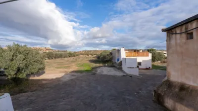 Rustic finca on Km road photo 32