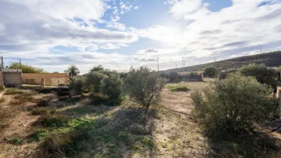 Rustic finca on Km road photo 41