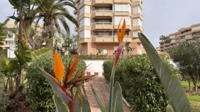 Studio in Urbanización Costa del Oro, 2 photo 35