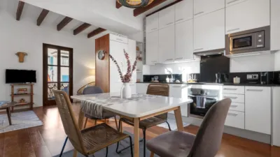 Penthouse on Argenteria Street photo 10