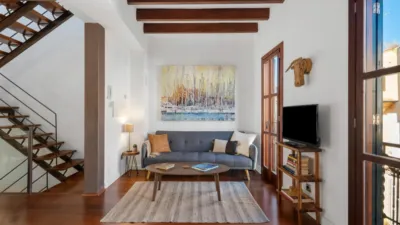 Penthouse on Argenteria Street photo 3