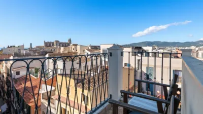 Penthouse on Argenteria Street photo 25