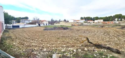 Chalet in Pantano de los Bermejales photo 52