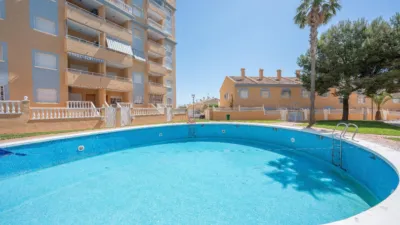 Casa – Elx - Elche - Vista 4