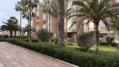 Studio in Urbanización Costa del Oro, 2 photo 45