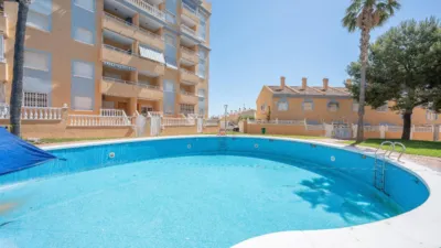 Casa – Elx - Elche - Vista 5
