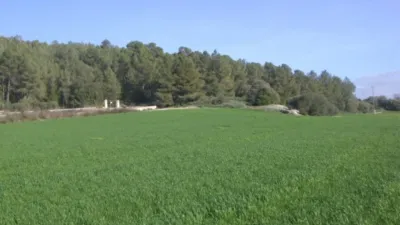Rustic finca in Algaida Campo photo 7