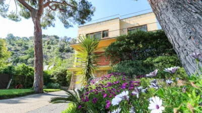 House on Pins Street, Dels photo 9