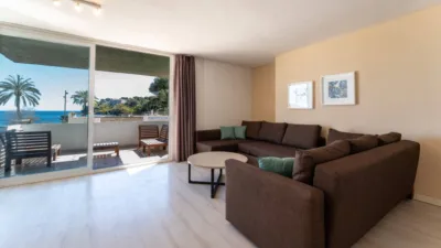 Apartment in Magaluf photo 12