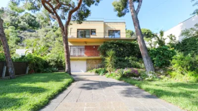 House on Pins Street, Dels photo 82