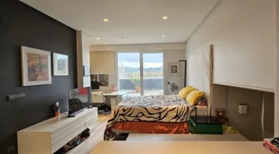 Duplex on Mandasko Dukearen Pasealekua photo 28