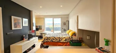 Duplex on Mandasko Dukearen Pasealekua photo 31