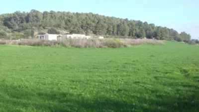 Rustic finca in Algaida Campo photo 6