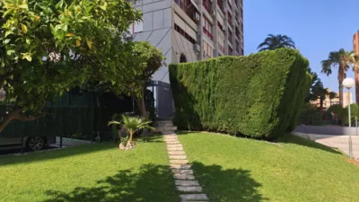 Apartment on Avenida de Andalucía photo 28