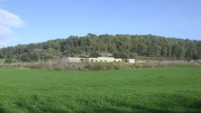 Rustic finca in Algaida Campo photo 5