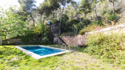 House on Pins Street, Dels photo 15