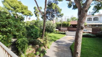 House on Pins Street, Dels photo 81