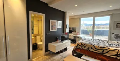 Duplex on Mandasko Dukearen Pasealekua photo 36