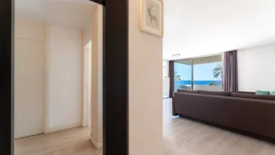 Apartment in Magaluf photo 13
