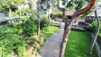 House on Pins Street, Dels photo 69