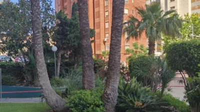 Apartment on Avenida de Andalucía photo 32