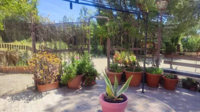  photo 35