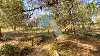 Chalet in Villamontes-Boqueres photo 73