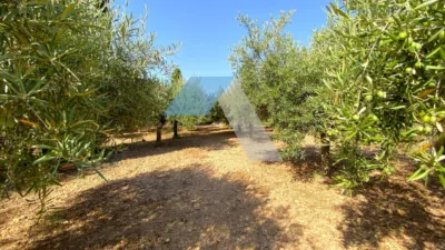 Chalet in Villamontes-Boqueres photo 75