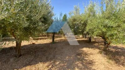 Chalet in Villamontes-Boqueres photo 71