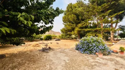Chalet on Calle de las Palmeras photo 40