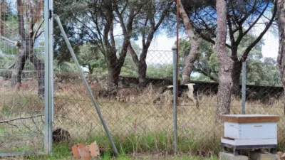 Finca rústica en venta en Parquelagos - Puente Nuevo, Zona Calle Casa Amarilla (Galapagar) de 1.600.000 €