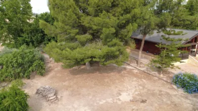 Chalet on Calle de las Palmeras photo 2
