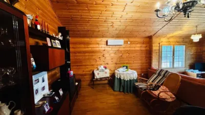 Chalet on Calle de las Palmeras photo 70