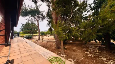 Chalet on Calle de las Palmeras photo 61