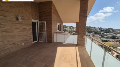 House in Mas Trader-Corral D'en Tort-Corral D'en Cona photo 43
