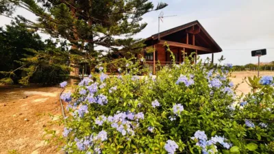 Chalet on Calle de las Palmeras photo 37
