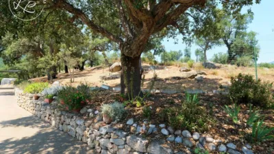 Rustic Finca in La Jonquera photo 41