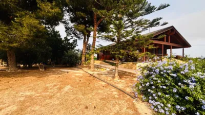 Chalet on Calle de las Palmeras photo 36