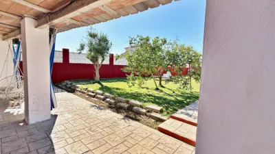 Chalet on Calle Teuladins (Dels) photo 41