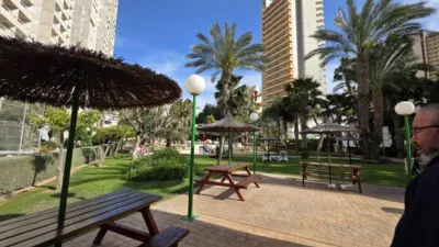 Apartment in Rincon de Loix photo 29