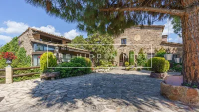 Rustic finca in Pedra Santa photo 5