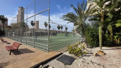 Apartment in Rincon de Loix photo 25