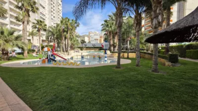 Apartment in Rincon de Loix photo 24