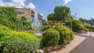 Rustic finca in Pedra Santa photo 17